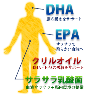 人生１００年時代に欠かせない貴重なオメガ3脂肪酸