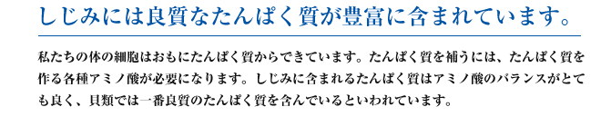 しじみには良質なたんぱく質が豊富に含まれています。