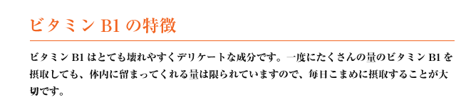 ビタミンＢ1の特徴