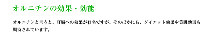 オルニチンの効果・効能