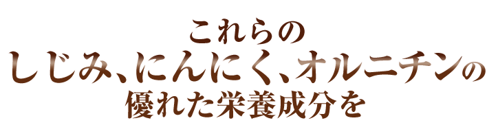 これらのしじみ、にんにく、オルニチンの優れた栄養成分を