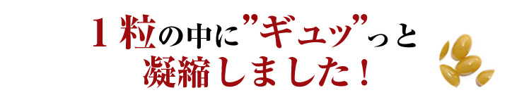 1粒の中にギュッと凝縮しました！