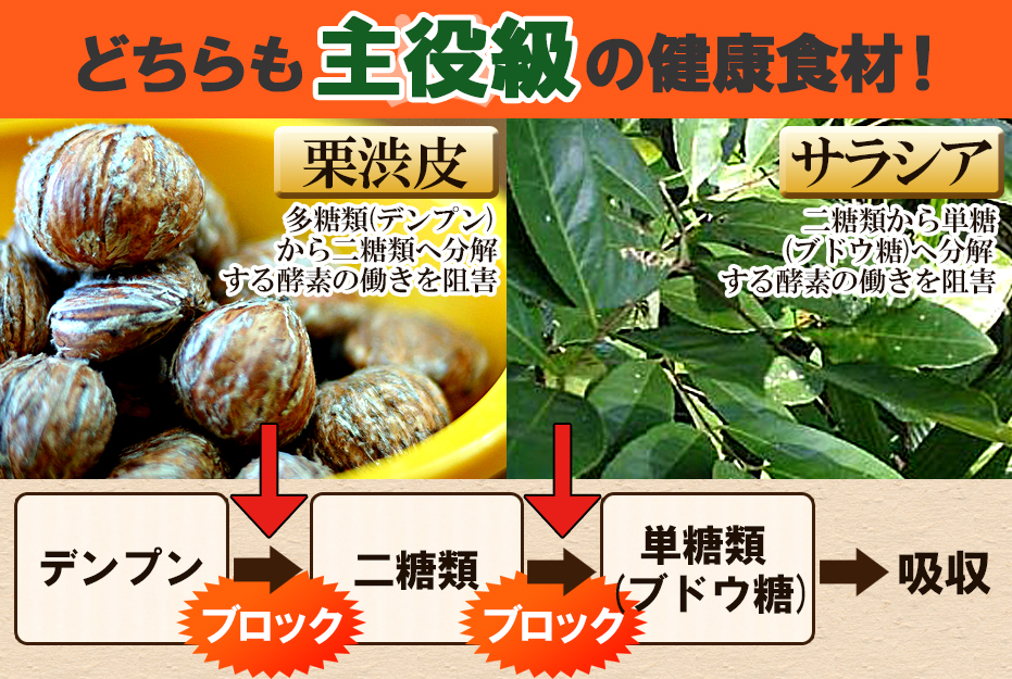 どちらも主役級の糖対策食材！