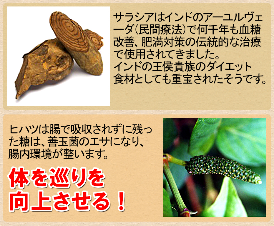 体の代謝を向上し燃焼させる！