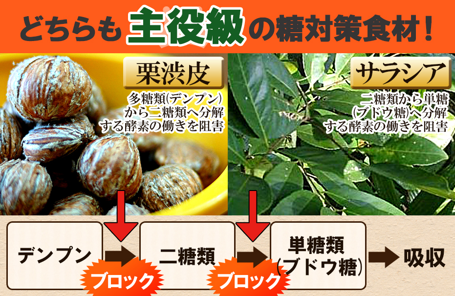 どちらも主役級の糖対策食材！