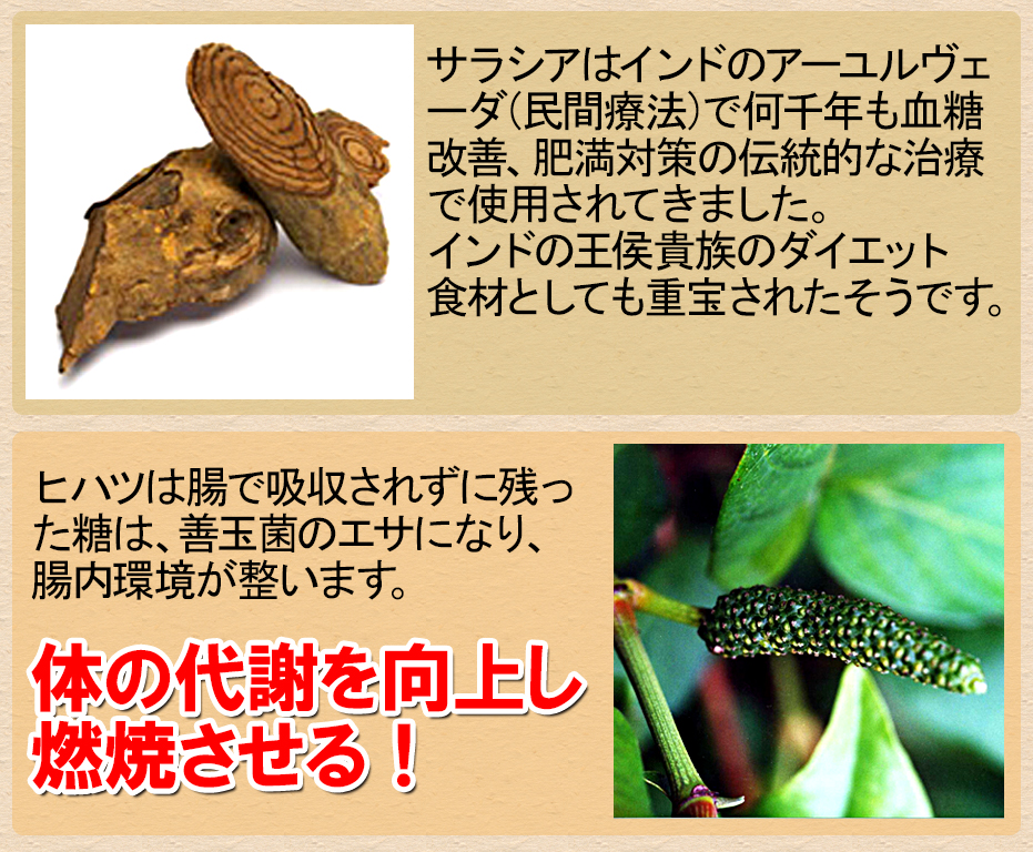 体の代謝を向上し燃焼させる！