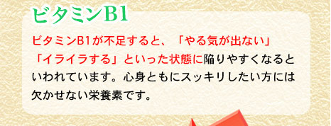 ビタミンB1　ビタミンB1が不足すると、「やる気がでない」「イライラする」といった状態に陥りやすくなるといわれています。心身ともにスッキリしたい方には欠かせない栄養素です。