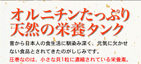 オルニチンたっぷり天然の栄養タンク　昔から日本人の食生活に馴染み深く、元気に欠かせない食品とされてきたのがしじみです。圧巻なのは、小さな貝１粒に濃縮されている栄養素