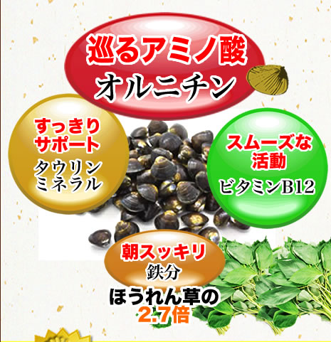 巡るアミノ酸オルチニン　すっきりサポートタウリンミネラル　ぐったり予防たんぱく質レシチン　スムーズな活動ビタミンB12　朝スッキリ鉄分　ほうれん草の2.7倍