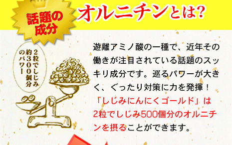 オルニチンとは？遊離アミノ酸の一種で近年その働きが注目されている話題のスッキリ成分です。巡るパワーが大きく、ぐったり対策に力を発揮！「しじみにんにく極」は２粒でしじみ300個分のオルニチンを摂ることができます。