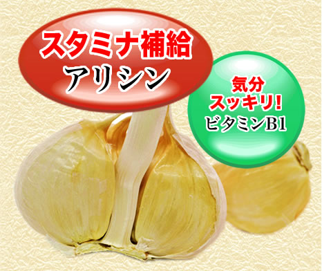 スタミナ補給アリシン　気分スッキリビタミンB1