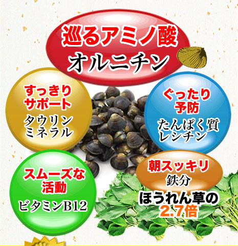 巡るアミノ酸オルチニン　すっきりサポートタウリンミネラル　ぐったり予防たんぱく質レシチン　スムーズな活動ビタミンB12　朝スッキリ鉄分　ほうれん草の2.7倍
