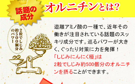 オルニチンとは？遊離アミノ酸の一種で近年その働きが注目されている話題のスッキリ成分です。巡るパワーが大きく、ぐったり対策に力を発揮！「しじみにんにく極」は２粒でしじみ300個分のオルニチンを摂ることができます。