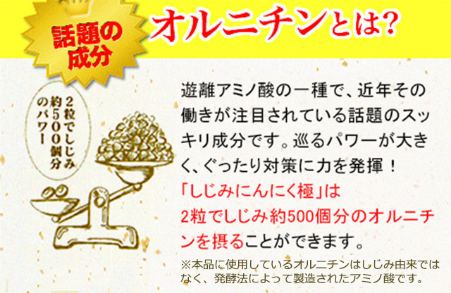 話題の成分　オルニチンとは？遊離アミノ酸の一種で、近年その働きが注目されている話題のすっきり成分です。「しじみにんにく極」は２粒でしじみ約500個分のオルニチンを摂ることができます。