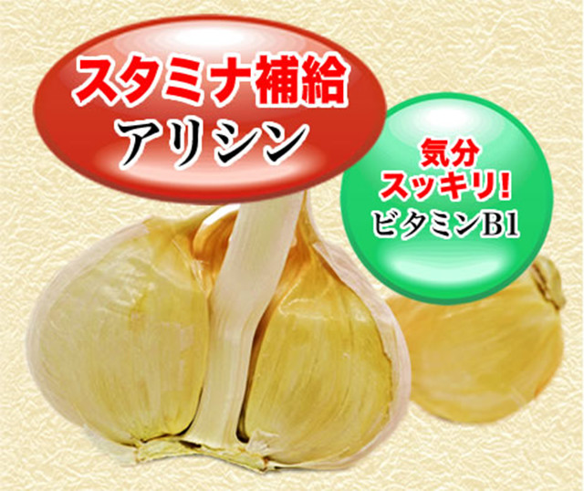 スタミナ補給アリシン、気分すっきり！ビタミンB１